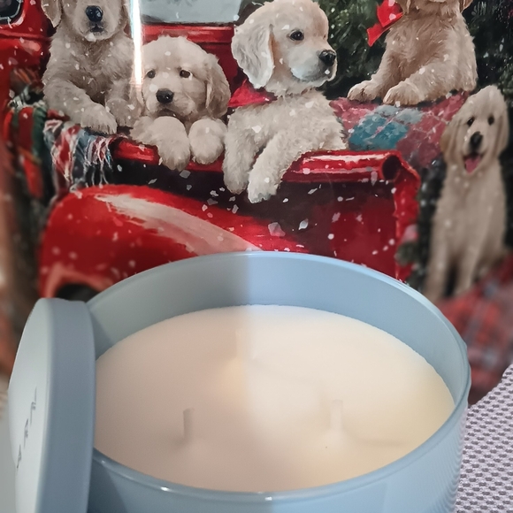 White Barn Sun-Drenched Linen Candle - Light Blue - Picture 5 of 5